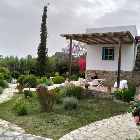 Lemon Tree Cottage Finikounta Exterior foto