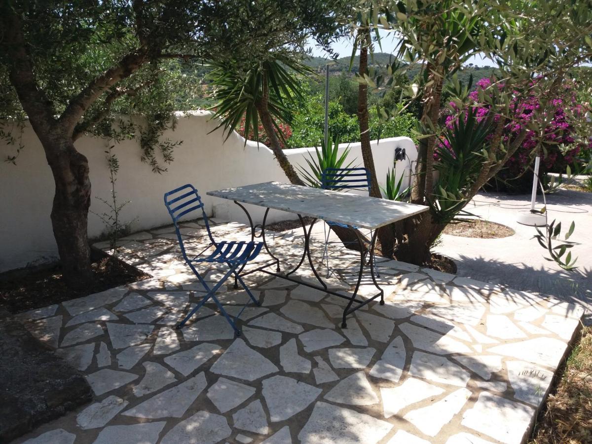 Lemon Tree Cottage Finikounta Exterior foto